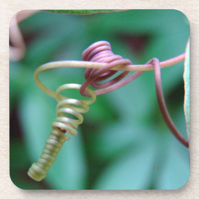 Passion Vine Cork Dessous de verre (Devant)
