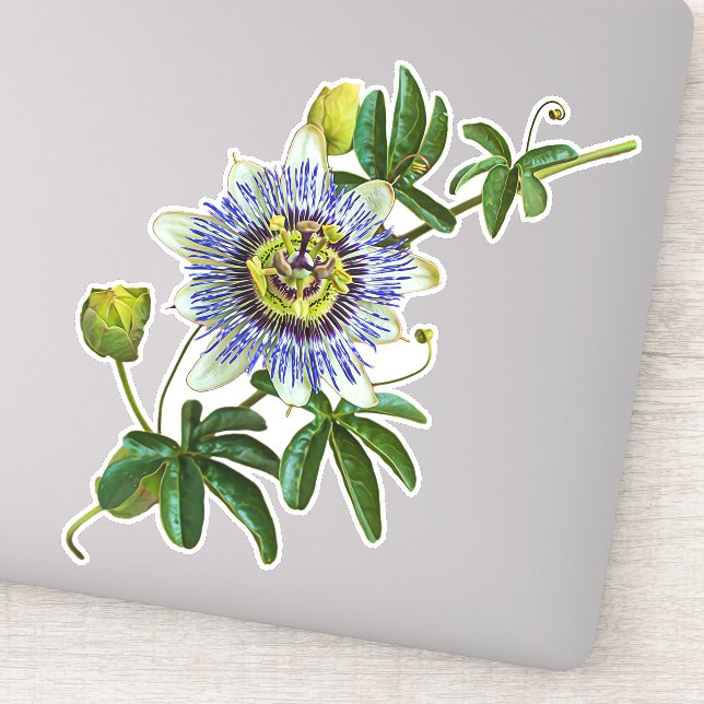Passionflower aux herbes | Sticker en vinyle (Détail)