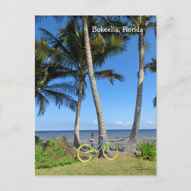 Pastel Bicycle Océan Floride Carte postale (Devant)