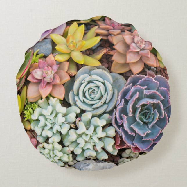 Pastel Coloré Succulent Plantes Coussin rond (Dos)