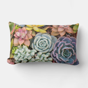Pastel Coloured Succulent Plante Lumbar Coussin