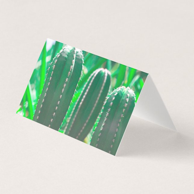 Pastel Green cactus plante pastel feuille (Front)