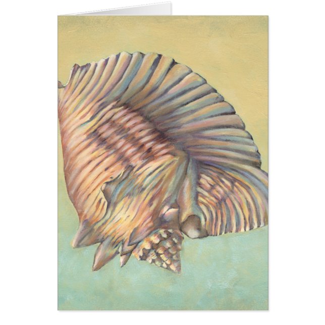 Pastel Large Conch Shell (Devant)