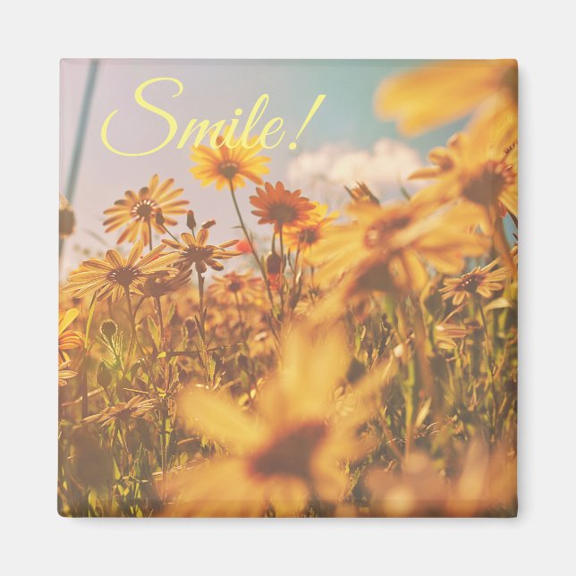 Pastel Orange Daisy Flowers Smile Magnet (Devant)