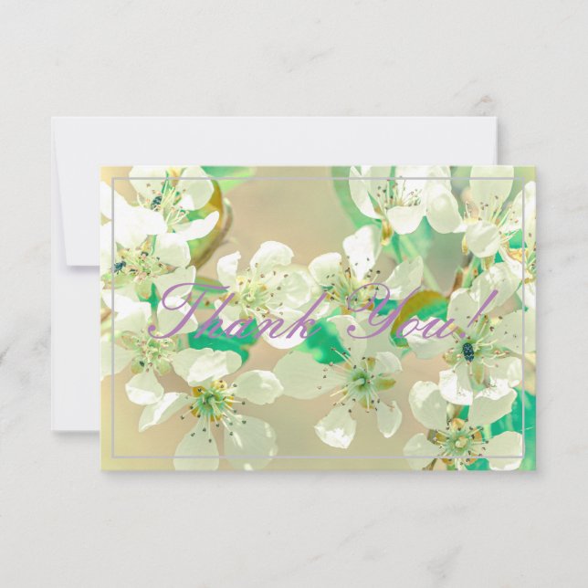 Pastel Pear Tree Blooms Merci Carte Plat (Devant)