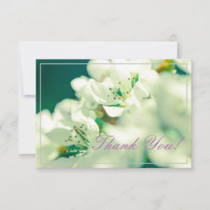 Pastel Pear Tree Blooms Merci Carte Plat