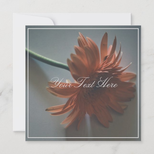 Pastel Pink Chrysanthemum Votre Carte Plat Texte (Devant)