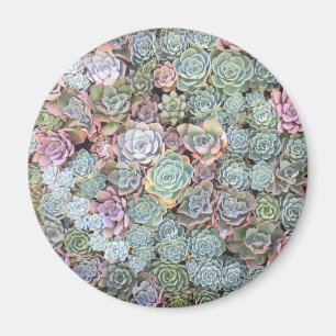 Pastel Succulent Garden Magnet