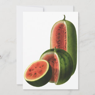Pastèques Vintage Haut Ronds, Fruits Alimentaires