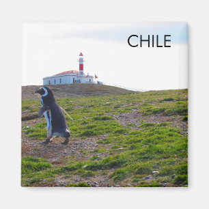 Patagonie Chili Penguin Magnet