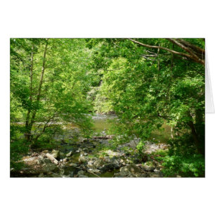 Patapsco River View Maryland Nature Photographie