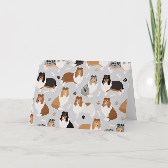 Pâtes et cartes d'os de collie rugueux (Devant)