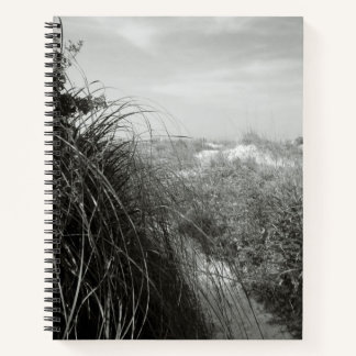 Path Through the Dunes | Rustic Beach Journal