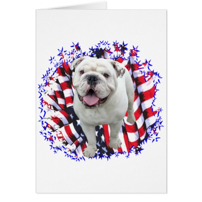 Patriote Bulldog (Devant)