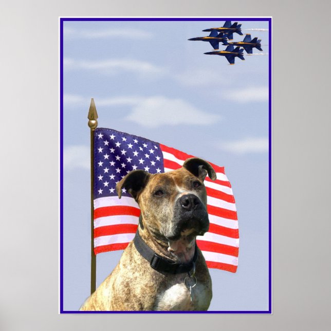 Patriotic pitbull poster (Devant)