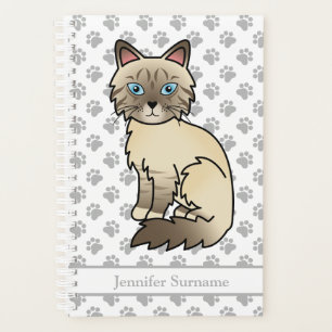 Patte de Chocolat Tabby Birman/Ragdoll Pattes & Te