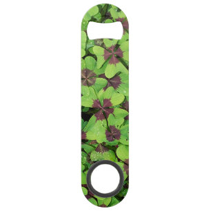 Patte de quatre feuilles de trèfle (Sorrel) après