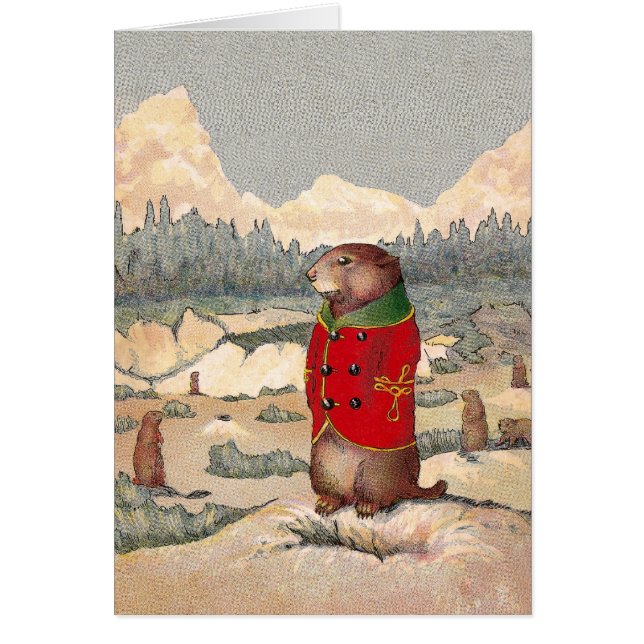 Pattes de paddy dans la ville de chien de prairie (Devant)