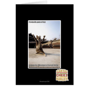 Pattes de shaolin de l'iz I de fureur