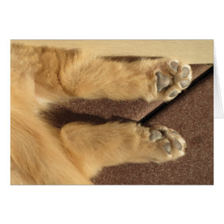 Pattes d'or du chiot deux