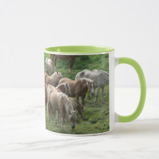 Pâturage de la tasse de chevaux