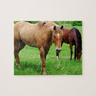 Pâturage du puzzle de chevaux