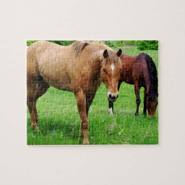 Pâturage du puzzle de chevaux (Horizontal)