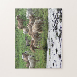 Pâturage du puzzle de chevaux