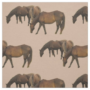 Pâturage du tissu de chevaux