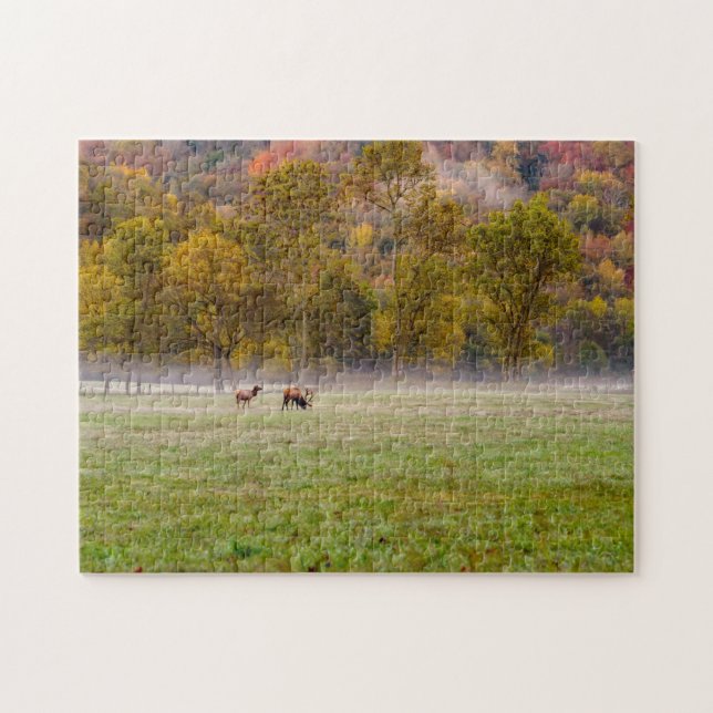Pâturage Elk Couple Jigsaw Puzzle (Horizontal)