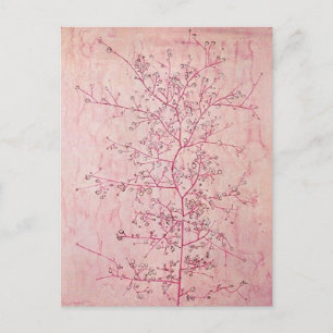 Paul Klee - Carte postale Printemps rose en plein 