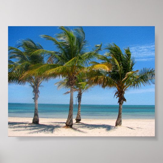 Paumes de Key Biscayne Poster