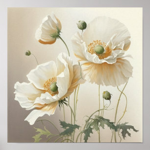 Pavot blanc Fleurs Art Imprimer Poster