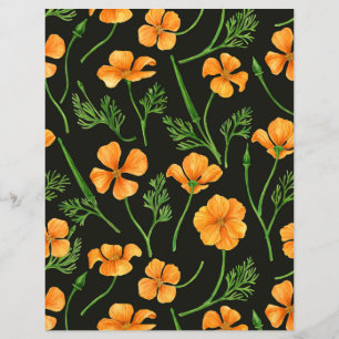 Pavot de Californie, fleurs d'été, orange wil