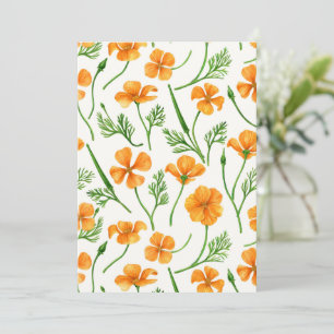 Pavot de Californie, fleurs d'été, orange wil