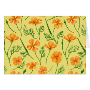 Pavot de Californie, fleurs d'été, orange wil