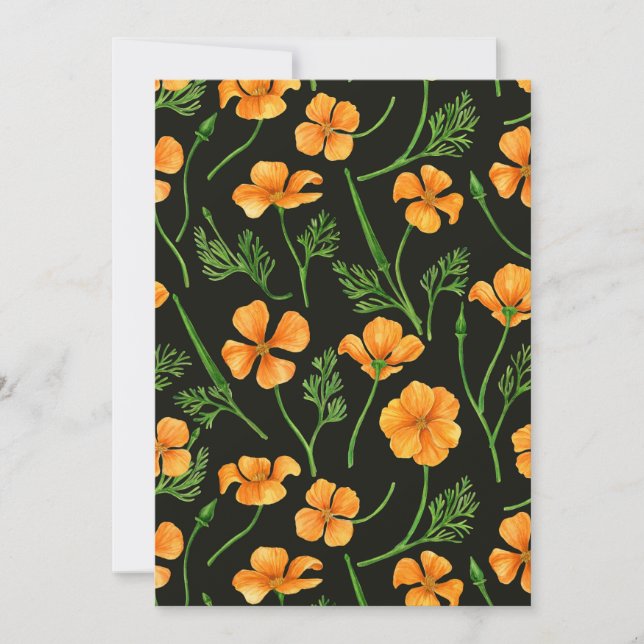 Pavot de Californie, fleurs d'été, orange wil (Devant)