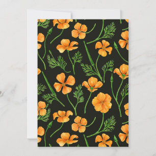 Pavot de Californie, fleurs d'été, orange wil