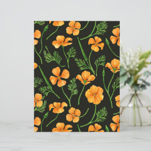 Pavot de Californie, fleurs d'été, orange wil