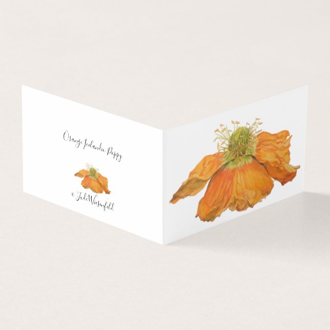 Pavot d'Islande (Outside)