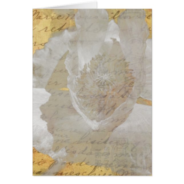 Pavot et Ephémère Vintage Collage Toutes les Occas (Devant)