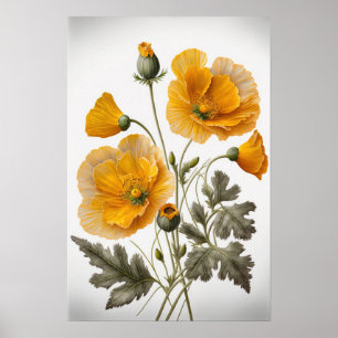 Pavot jaune Fleurs Art Imprimer Poster