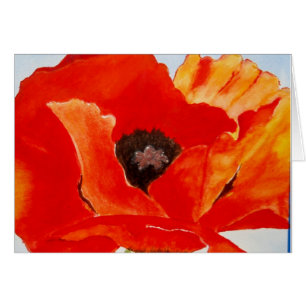 Pavot orange