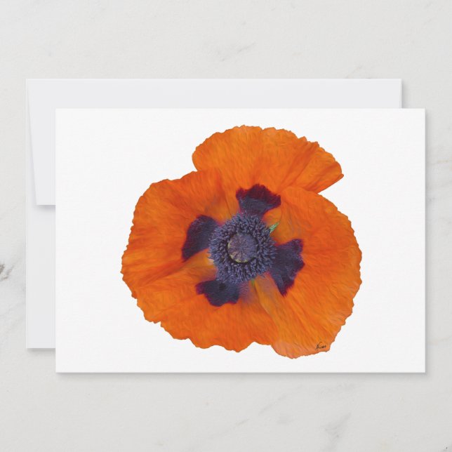 Pavot orange écarlate 1 (Devant)