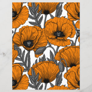 Pavot orange sur blanc
