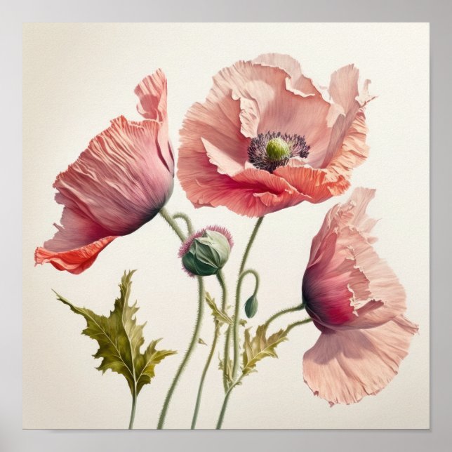 Pavot rose Fleurs Art Imprimer Poster (Devant)