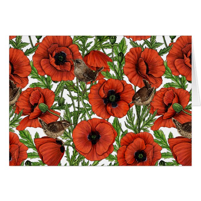 Pavot rouge et brindilles, feuilles verts sur blan (Devant horizontal)