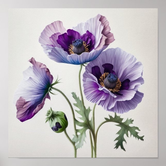 Pavot violet Fleurs Art Imprimer Poster (Devant)