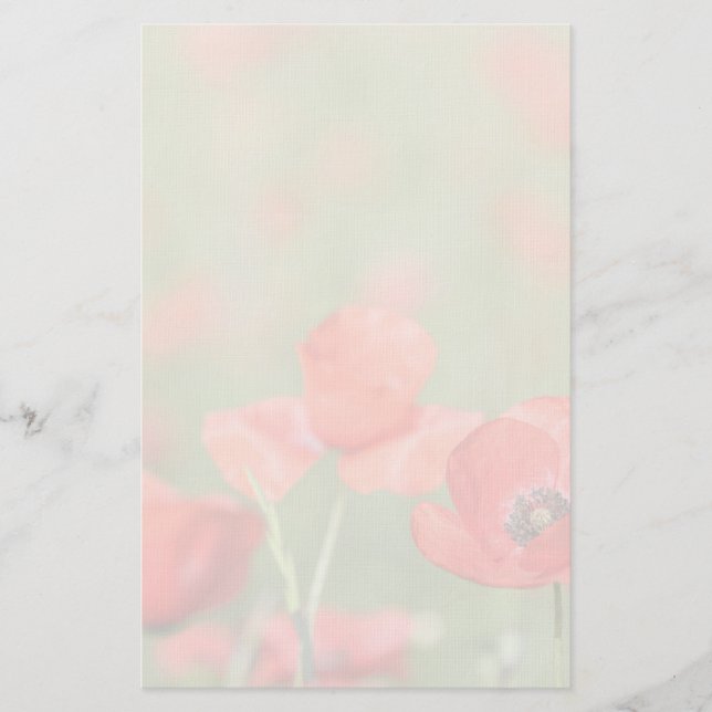 Pavots dans une papeterie de champ de pavot (Devant)