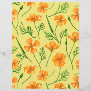 pavots de Californie, fleurs d'été, orangés sauvag